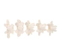 Sosoport Life Size Lumbar Spine Model, Lumbar Vertebral Spine Model, Pvc White, 1:1, Lightweight Teaching Presentation Tool for Science Classroom Study and Laboratory Supplies