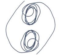 Sosoport Strong and Stretchy for Traveler’s Notebook 4 Rolls Nylon Elastic Bands with Metal Buckle and Regular Size Notebook Replacement Spare Ropes