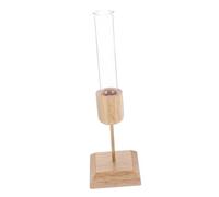 Sosoport Transparent Hydroponic Glass Vase with Stand for Desktop Planting Visible Root Growth Flower Planter Pot for Living Centerpiece Easy Care Hydroponic Bulb Vase Gift for Plant Lovers