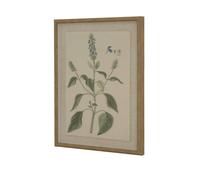 Sostter Botanical Wall Art In Linen With Beaded Frame In Brown Brown One Size