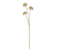 Sostter Brown Allium Faux Flower Stem | Size: Cabin Sostter Brown Cabin