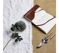 Pale Green Blue Chrysanthemum