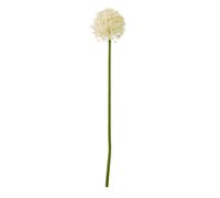 Sostter Cream Allium Stem Faux Flower for Stylish Home Decor Sostter Cream