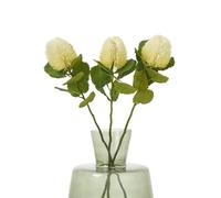 Sostter Cream Banksia Artificial Flower Stem Cream One Size