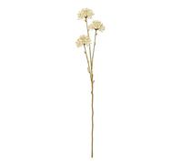Sostter Cream Faux Allium Flower Stem In Beige Beige One Size