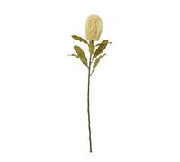 Sostter Cream Faux Banksia Serrata Stem Sostter Cream