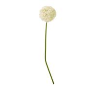 Sostter Cream Giant Allium Stem Tall Faux Flower Arrangement in Soft White Sostter Soft White