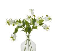 Sostter Cream Gloriosa Lily Stem Tropical Bloom Sostter Cream