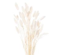 Sostter Cream Natural Dried Grass 60 Stems Sostter Cream