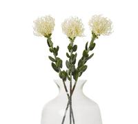Sostter Cream Protea Pincushion Faux Flower Stem Sostter Cream