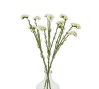 Sostter Cream Statice Faux Flower Stem Cream One Size