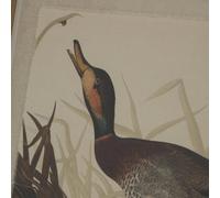 Sostter Duck Artwork in Beaded Frame on Linen Canvas in Beige Sostter Beige