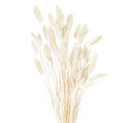 Sostter Fluffy Natural Bunny Tail Flowers Ivory Stems