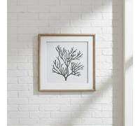 Sostter Framed Coral Reef Coastal Wall Art In Black Black One Size