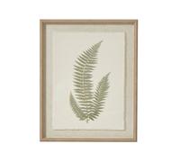 Sostter Framed Fern Art With Champagne Beaded Frame In Soft White Soft White 81cm x 49cm