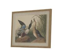 Sostter Framed Mallard Duck Art on Linen Canvas in Beige Sostter Beige