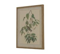 Sostter Framed Warbler Art Print with Beaded Detailing in Natural | Size: 81 cm x 49 cm Sostter Natural 81 cm x 49 cm