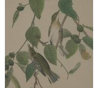 Sostter Framed Warbler Art Print with Beaded Wood Frame in Natural Sostter Natural