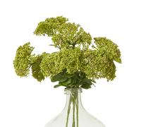 Sostter Fresh Green Sedum Artificial Spray Green One Size
