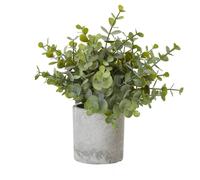 Sostter Green Eucalyptus Plant in Stone Pot Sostter Green