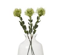 Sostter Green Pincushion Protea Faux Flower Stem Sostter Green