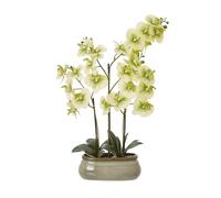 Sostter Large Green Faux Orchid In Ceramic Pot Green One Size