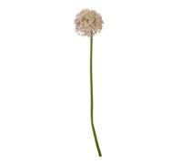 Sostter Lilac Allium Stem For Vases And Home Styling In Ivory Ivory One Size