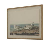 Sostter Linen Wall Art with Beaded Frame & Shorebirds in Brown Sostter Brown