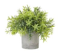 Sostter Mini Bamboo Plant in Soft Grey Pot Sostter Multicolor
