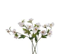 Sostter Soft Cream Artificial Hellebore Flower Stem Sostter Cream