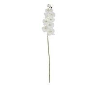 Sostter Tall White Butterfly Orchid Faux Flower Single Stem 103 cm Sostter White