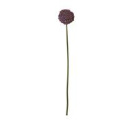 Sostter Vibrant Purple Allium Stem For Stylish Home Décor Purple One Size