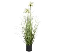 Sostter White Agapanthus Faux Plant in Decorative Pot in Black Sostter Black