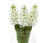 Sostter White Hyacinth Faux Stem For Effortless Home Style In Natural White Natural White Small
