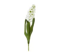 Sostter White Hyacinth Flower Stem in Natural White Sostter Natural White