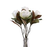 Sostter White Magnolia Flower Stem in Green Sostter Green