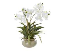 Sostter White Orchid Artificial Plant In Ceramic Pot in Soft White Sostter Soft White