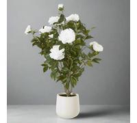 Sostter White Peony Bush in Pot with Lifelike Blooms Sostter White