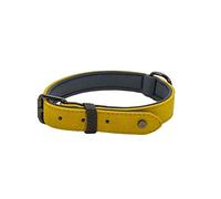Sotnos Aquatech Brights Dog Collar, Mustard Yellow, L