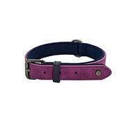 Sotnos Aquatech Brights Dog Collar, Raspberry, M