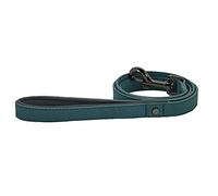 Sotnos Aquatech Brights Dog Lead, Teal, M, L