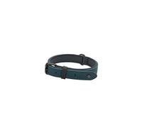Sotnos Brights Aquatech Dog Collar - Teal - Extra Small (20-26cm)
