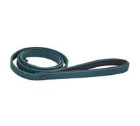 Sotnos Brights Aquatech Dog Lead - Teal - Medium/Large