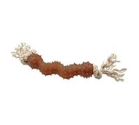 Sotnos Earth Aware 100% Natural Dental Stick & Rope Dog Chew, - Dual-Texture Chew with Rope and Rubber, Promotes Healthy Teeth, Fun for Tug, Chewing, and Interactive Play Sessions- 33cm