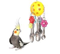 Sotoboo Ball Parrot Chew Toy with Stainless Steel Metal Spoons Boredom Breakers for Bird Macaw African Grey Eclectus Budgies Parakeet Cockatoo Cockatiel Conure Lovebird Canary Cage