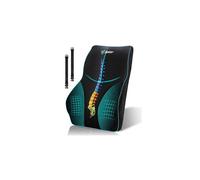 Sotor Lumbar Pillow Cushion, Memory Foam Back Support Cushion Lumbar Support for Office Chair, Car Seat, Recliner, Back Cushion with Extension St