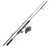Sougayilang Spinning Rod Reel Combo - MH Action Fishing Rods with Carp Reel for Freshwater Saltwater Carp Fishing- 2.1m