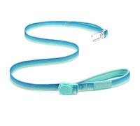 Soul and Tail Daily Step Dog Leash, Multi-Function Magnetic Buckle, Dual Padded Handles for Secure Control, Swivel Aluminum Clip, Woven Gradient Design (Aqua Coast, 5ft)