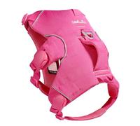 Soul and Tail Trail Leap Dog Harness, Magnetic Buckles, Blossom Pink, XL