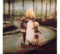 Soul Asylum - Grave Dancers Union [VINYL]